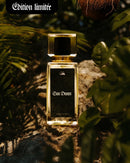 Sun dream